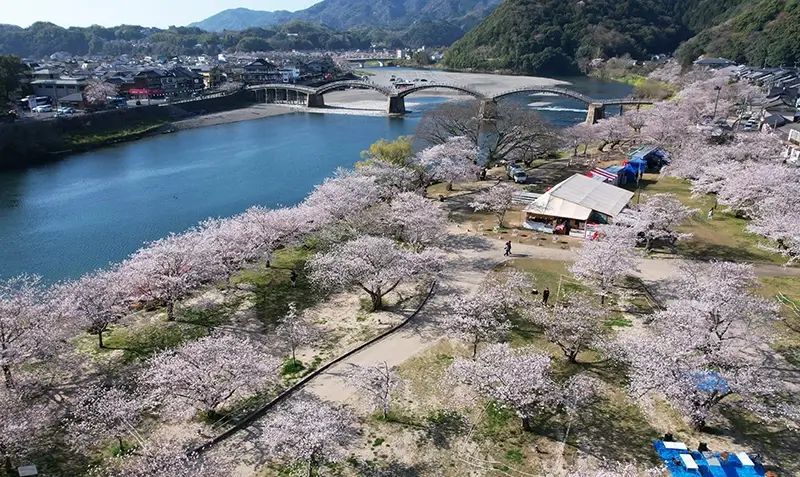 iwakuni kintaikyo bridge