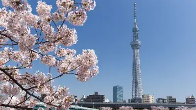 Tokyo Skytree: Soaring Above the City’s Skyline