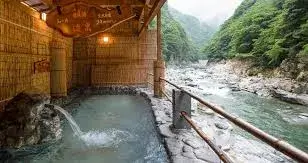 Hotel Iyaonsen | Japan City Tour | Travel agency in Tokyo
