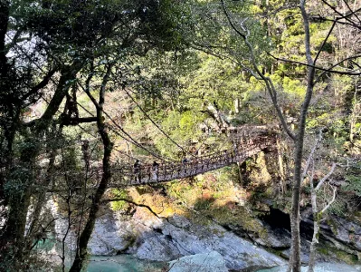 Kazurabashi Vine Bridge 3 | Japan City Tour | Travel agency in Tokyo