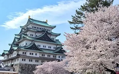 Nagoya Castle Travel Guide
