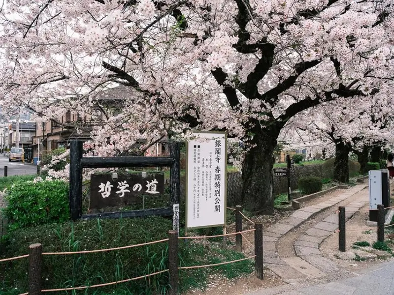 Philosopher’s Path