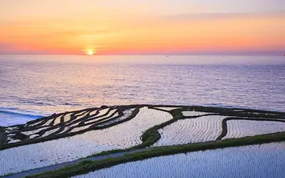 Shiroyone Senmaida Rice Terraces