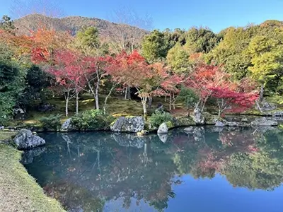 tenryuji | Japan City Tour | Travel agency in Tokyo tenryuji