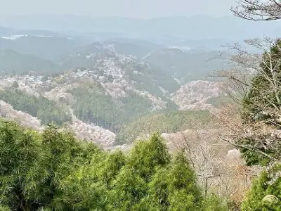 yoshino-nara_08-768x576 1 1 | Japan City Tour | Travel agency in Tokyo yoshino-2