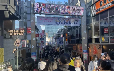 One-Day Tokyo Private Tour with an English-Speaking Guide