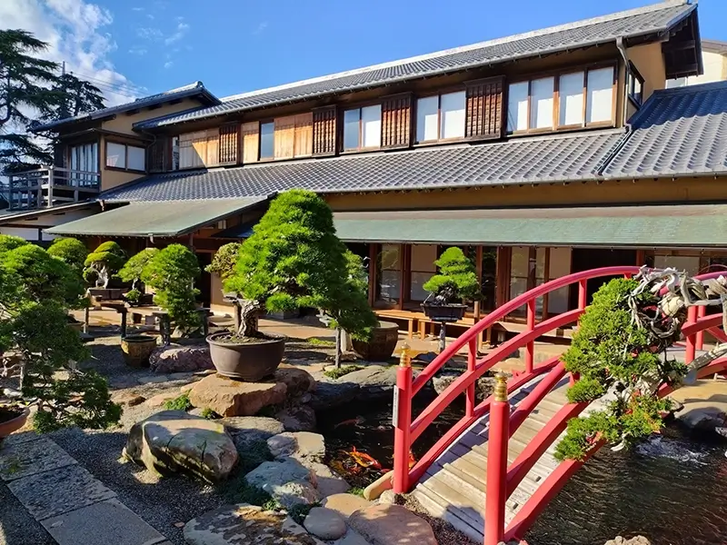 春花園BONSAI美術館 | Japan City Tour | Travel agency in Tokyo Shunkaenn Bonsai Museum